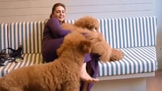 Huma Qureshi with her doggos