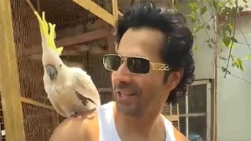 Varun Dhawan & his little birdy friend