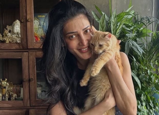 Photo inspiration: Picture Idea: Shruti Haasan Adopts Rescued Ginger Cat Aslan Actor Gives Six
