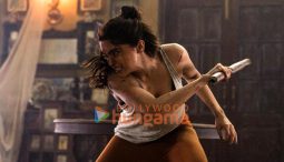 Alpha stills