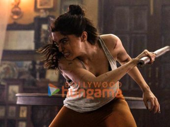 Alpha stills