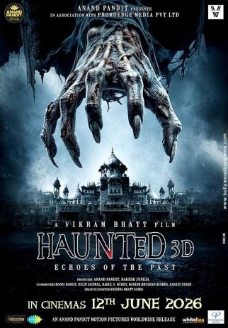 Haunted 3D: Echoes Of The Past