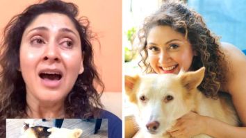 Manjari Fadnnis alleges pet dog Mikey was brutally killed; calls for stronger animal cruelty laws in emotional video