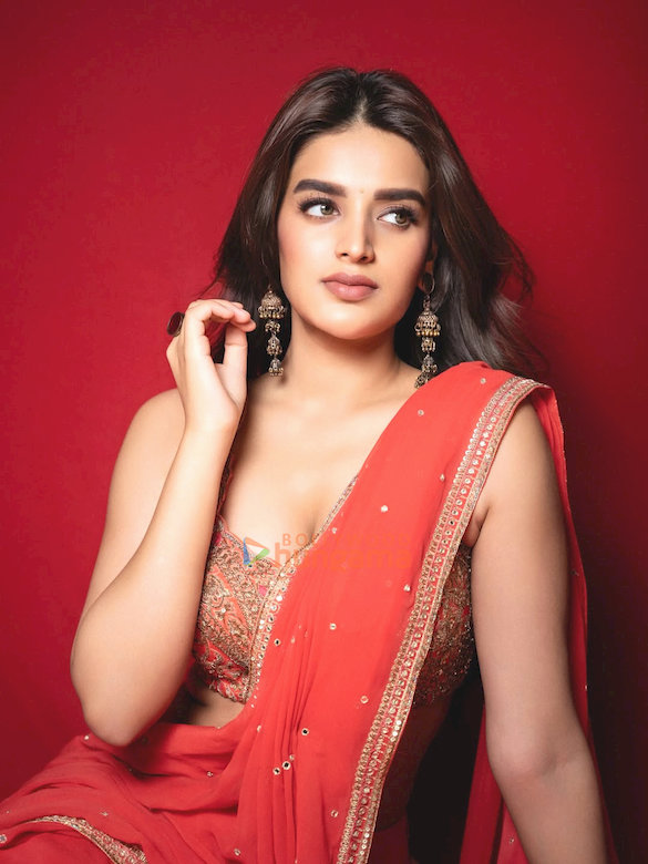 nidhi agarwal 2