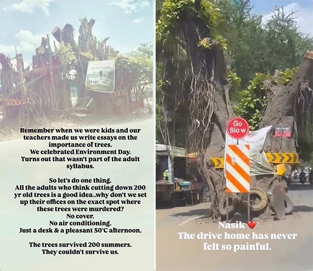 Saiyami Kher voices anger after 200-year-old tree near her Nashik home is cut down: "Growth without sensitivity is not progress"