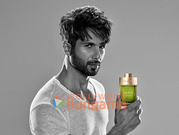 shahid kapoor 2 98
