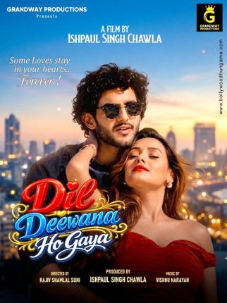 First Look Of The Movie Dil Deewana Ho Gaya