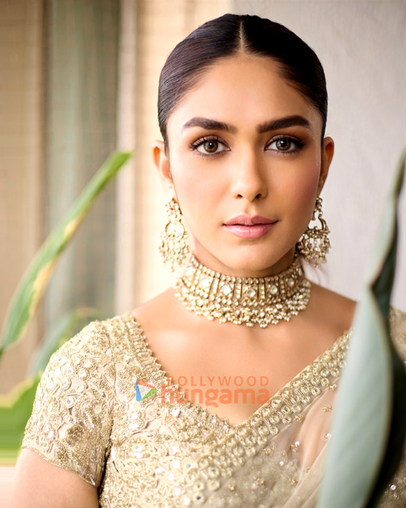 mrunal thakur 1 217