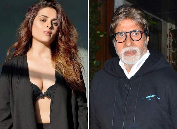 Anjana Sukhani recalls Amitabh Bachchan sending an umbrella and chair during an ad shoot