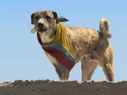 Ohh My Dog – Title Track | Aman Pant | Moksh Pant | Prashant Sishodia