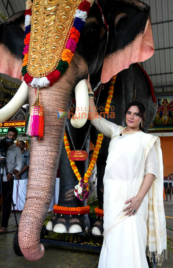 photos richa chadha and peta india gift life size mechanical elephant to keralas g 9