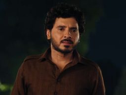 Mirzapur: The Movie Box Office Day 22: Film crosses Rs. 209 crores