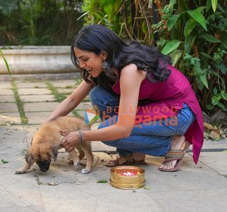 Mirzapur – The Movie