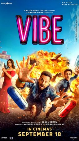 Vibe poster