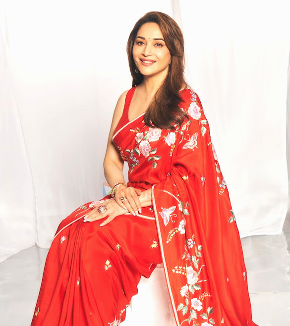 madhuri dixit 1 101